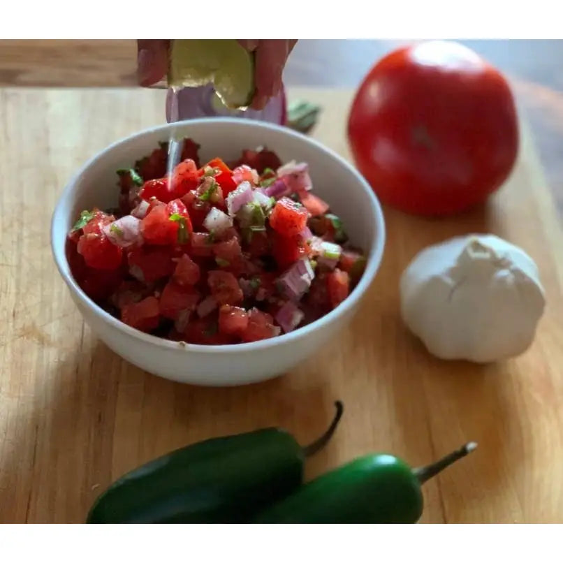 Seasoning Mix - Mild Salsa - Healthy Gourmet Kitchen