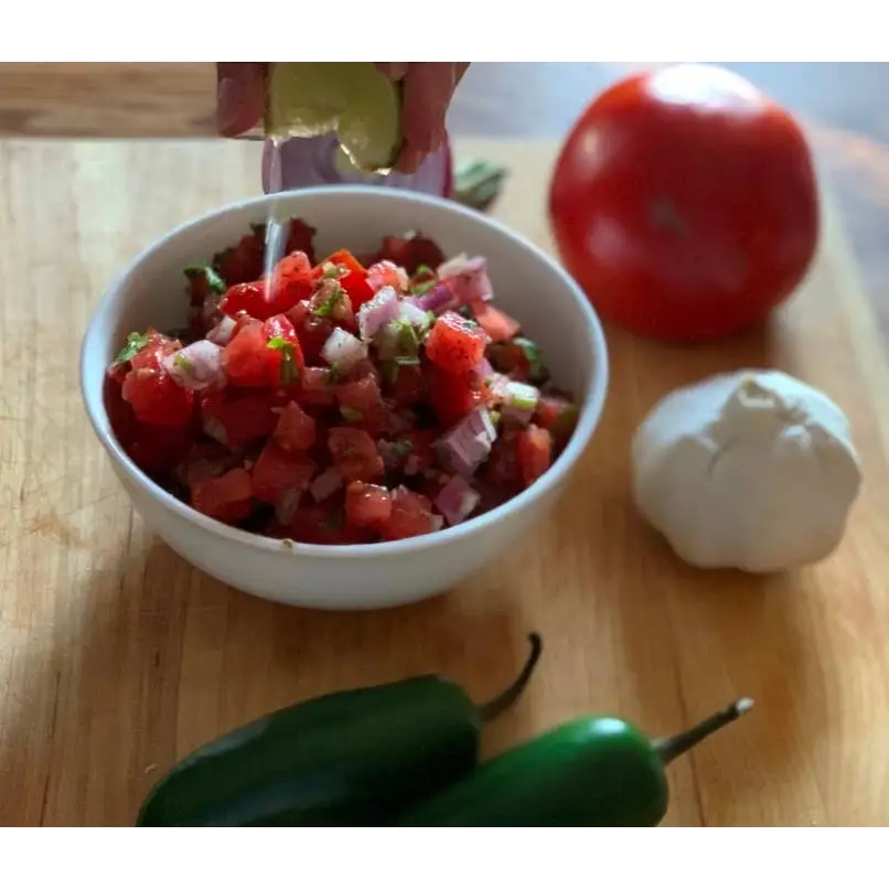 Seasoning Mix - Mild Salsa - Healthy Gourmet Kitchen