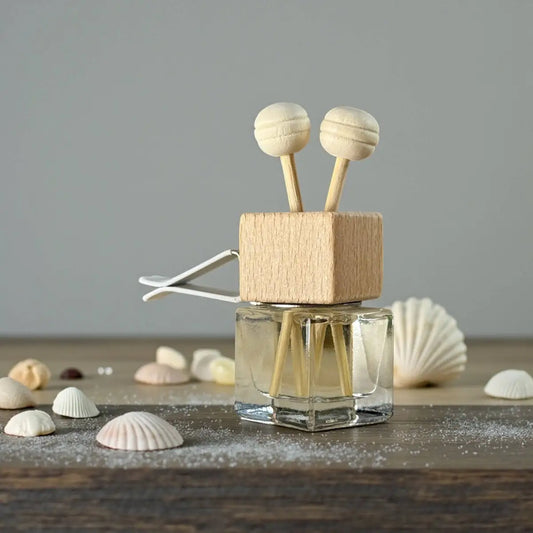 Car Freshener - Salt & Sea - Glass Bottle 8ml - Vent Plug - Charmed Harvest