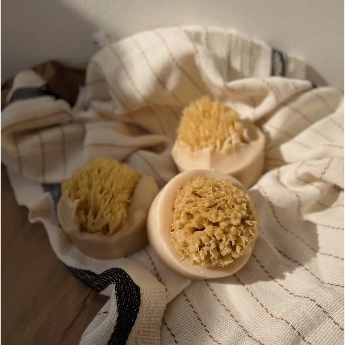 Sea Sponge Soap Bar - Santal Beach Coconut Milk - Handmade Natural - The Ash House Soap Studio
