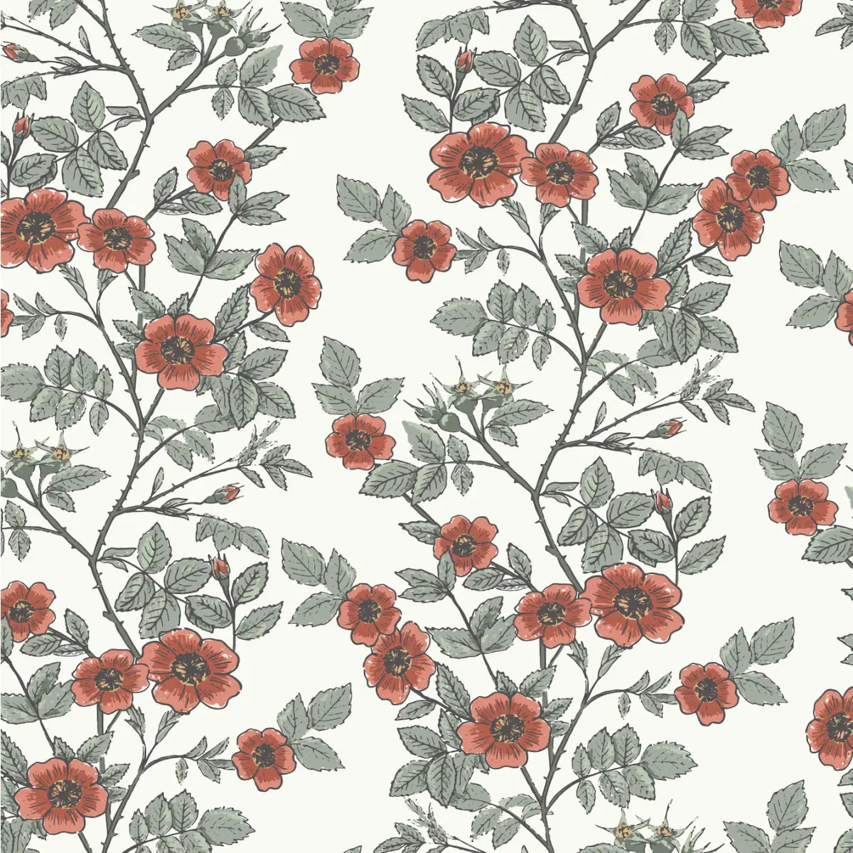 Shia Wallpaper - Watercolor Wild Roses - by Lisee Ree Designs - Sample 1 foot by 1 foot / Red - Loomwell Home Goods