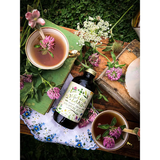 Signature Blend Simple Syrup - Honeysuckle & Clover - Tea - Meadowland Syrup