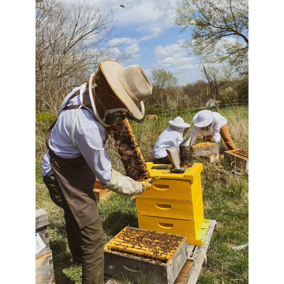 Solid Cologne - Monarch - Handmade with Beeswax - Messner Bee Farm