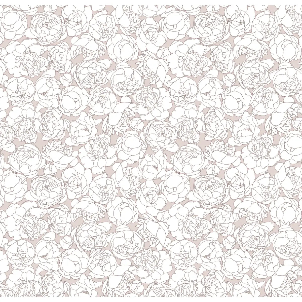 Suri Wallpaper - Peony Line Drawings - by Kourtni Gunn - Sample 1 foot by 1 foot / Pink - Loomwell Home Goods
