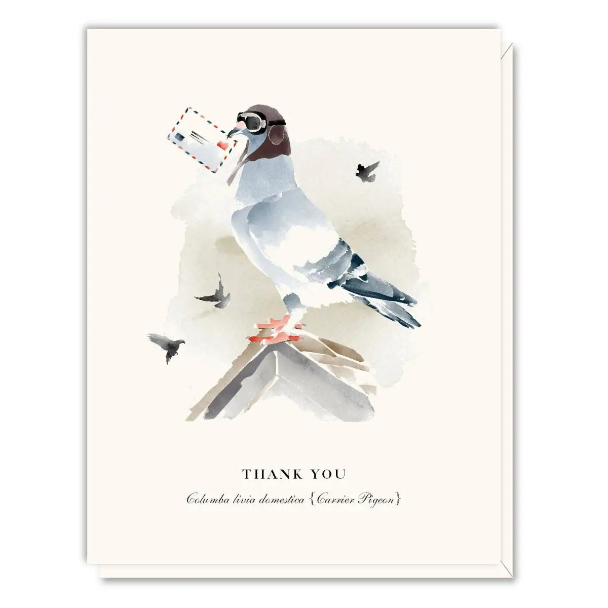 Thank You Card - Carrier Pigeon - Driscoll Design
