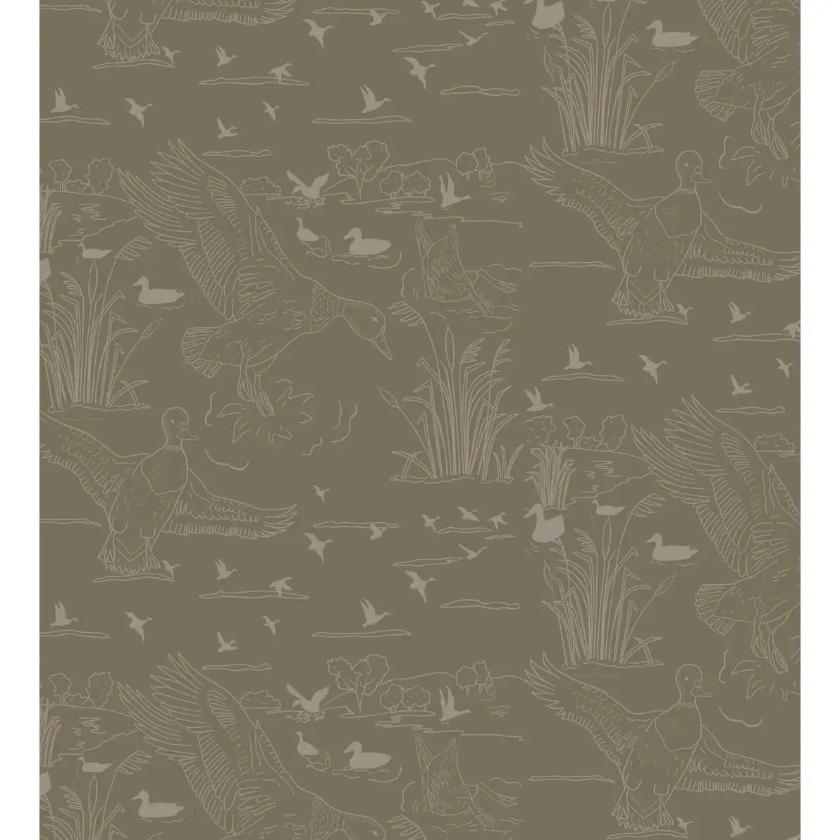 Wallace Wallpaper - Ducks Line Drawings - by Painted Hawk Design - Sample 1 foot by 1 foot / Olive - Loomwell Home Goods