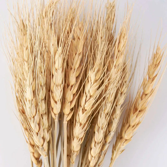 Wheat Bouquet - Primitives by Kathy