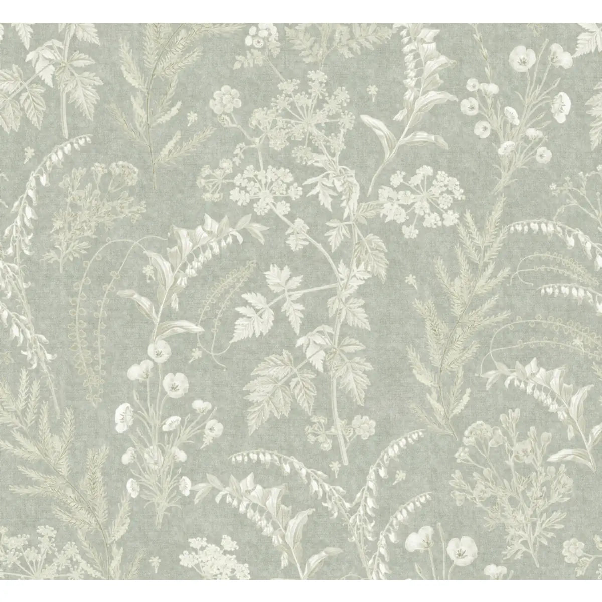 Winsome Wallpaper - Botanical Ferns - by Aynsley Ovard x Bloomery Decor - Sample 1 foot by 1 foot / Sage - Loomwell