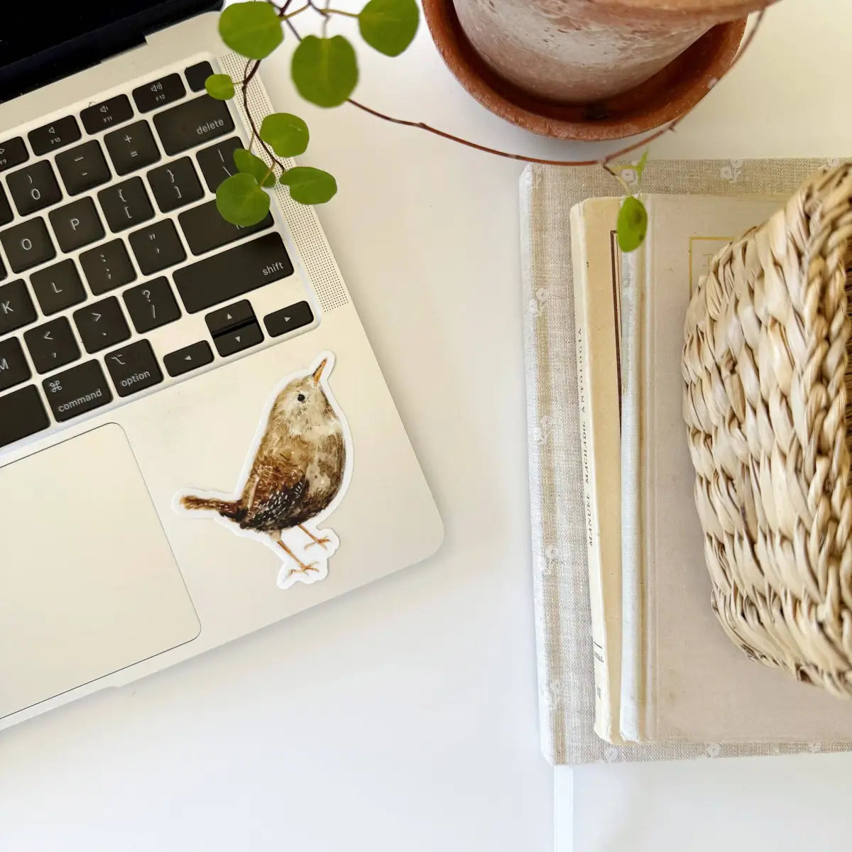 Wren Sticker - emily lex studio