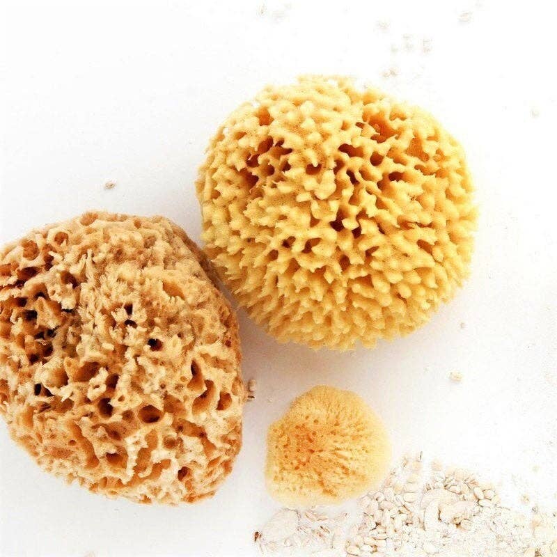 Sea Sponge for Bath - Organic Natural - Smile Boutiques