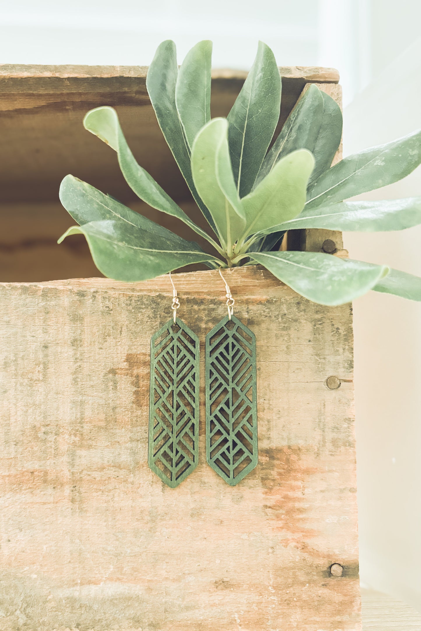 Hermosos aretes de madera verde cortados con láser