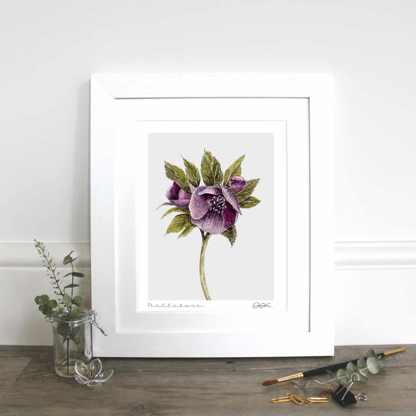 Fine Art Print - Hellebore - 10x12" Mounted