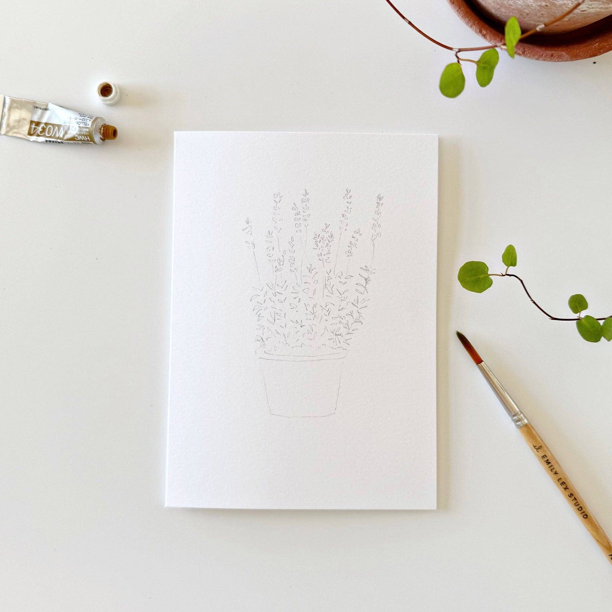 Potted Plants Paintable Notecards - emily lex studio