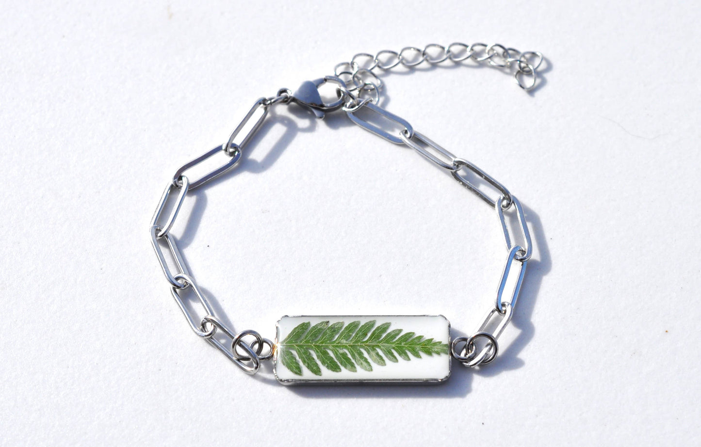 Pulsera de barra de helecho, helecho prensado