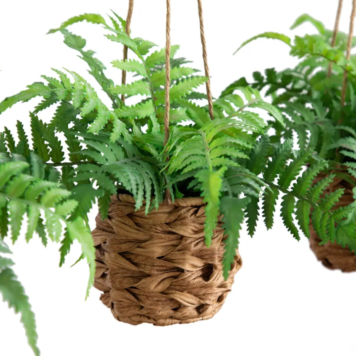 10” UV Resistant Artificial Boston Fern in Hanging Wicker Basket (Indoor/Outdoor) - Set of 3 - Nearly Natural