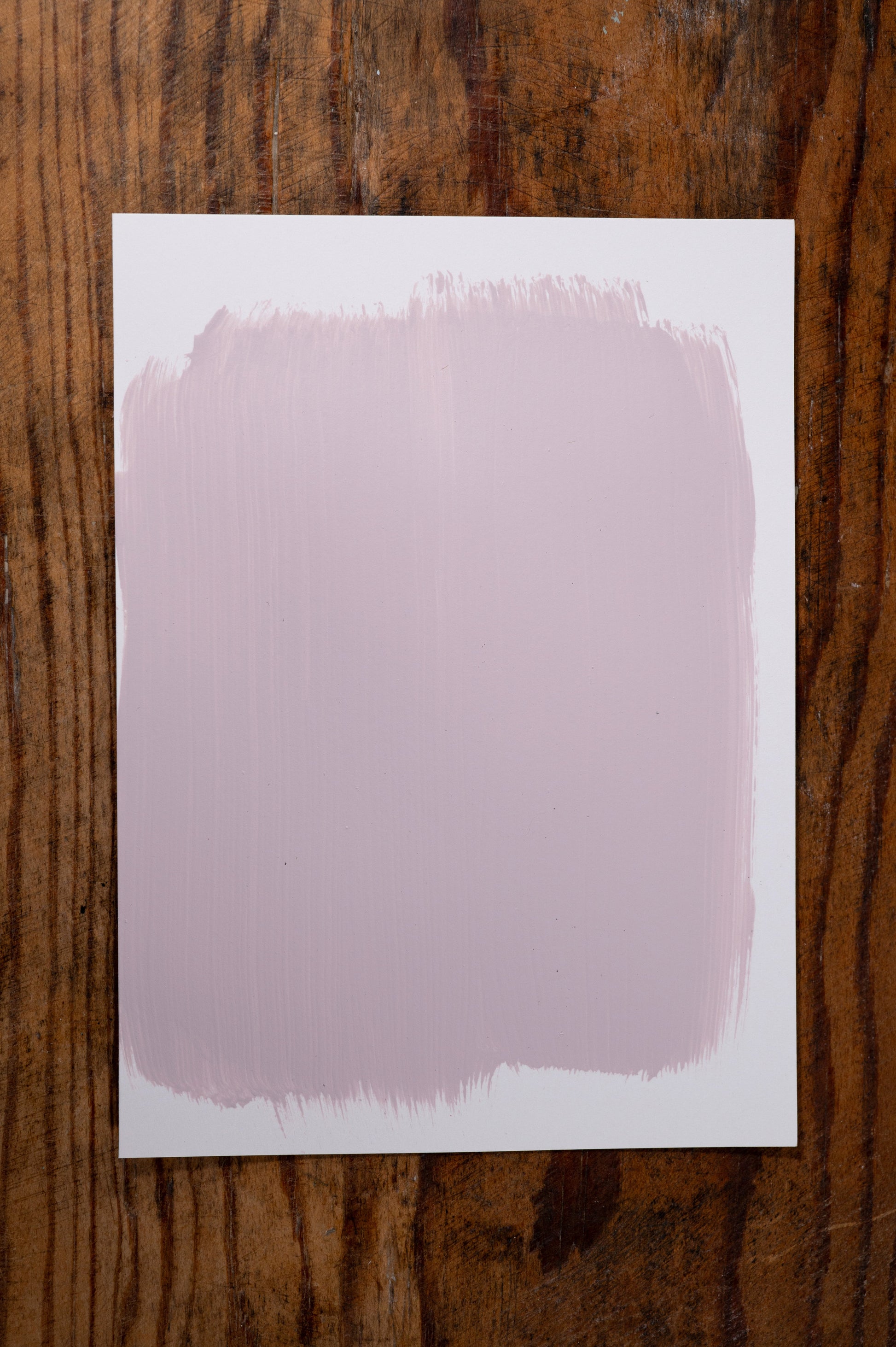 My Hydrangea Garden - Manor Borne Wall Paint - Amy Howard At Home