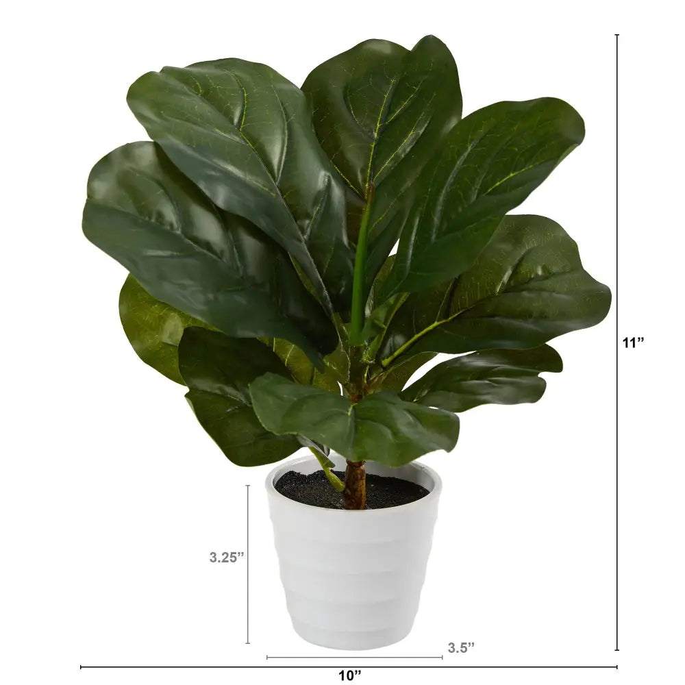 11” Fiddle Leaf Artificial Plant in White Planter (Real Touch) - Nearly Natural