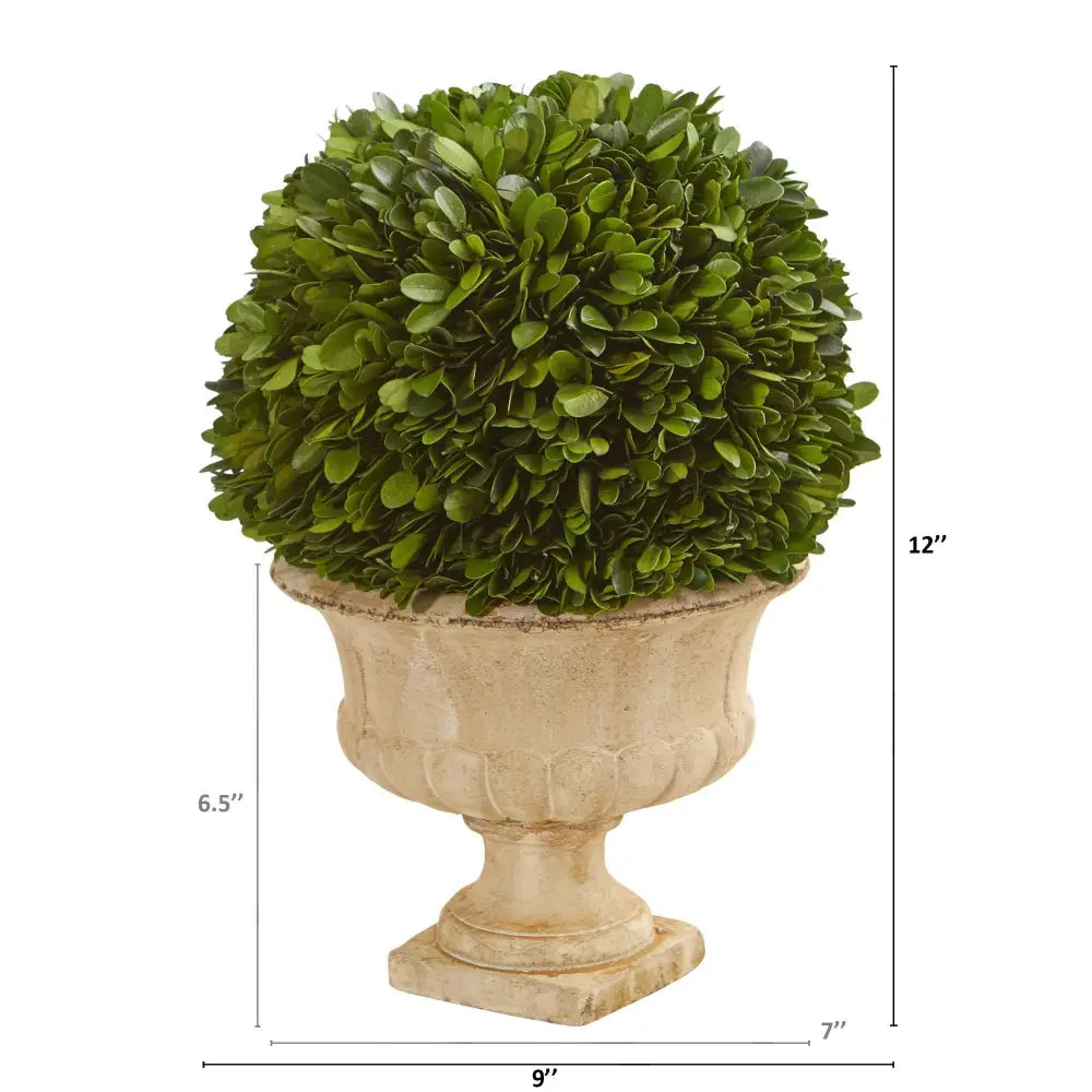 12” Boxwood Topiary Ball Preserved Plant in Decorative Urn - Nearly Natural