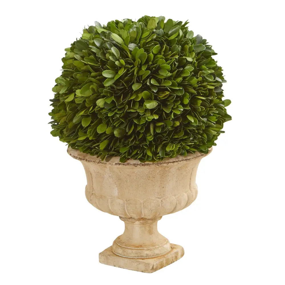 12” Boxwood Topiary Ball Preserved Plant in Decorative Urn - Nearly Natural