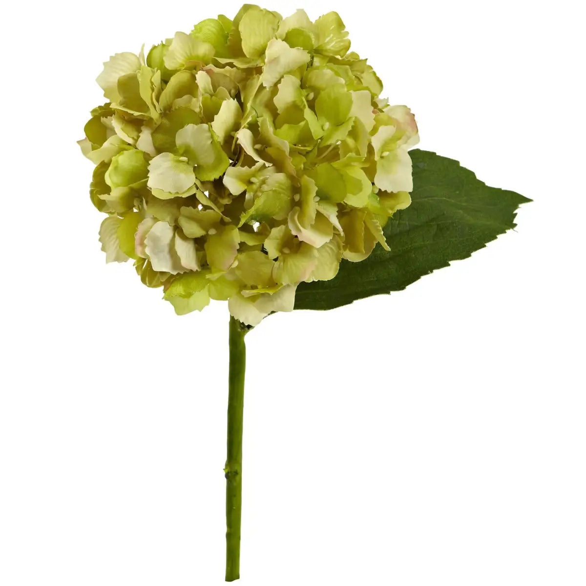 12” Hydrangea Artificial Flower (Set of 12) - Green - Nearly Natural