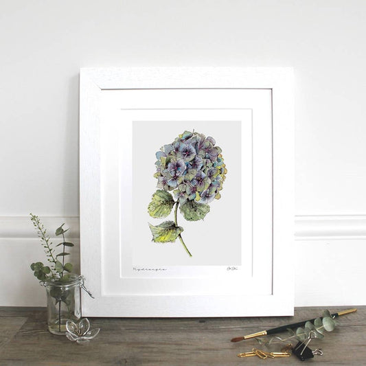 Fine Art Print - Hydrangea - 11x14" Mounted