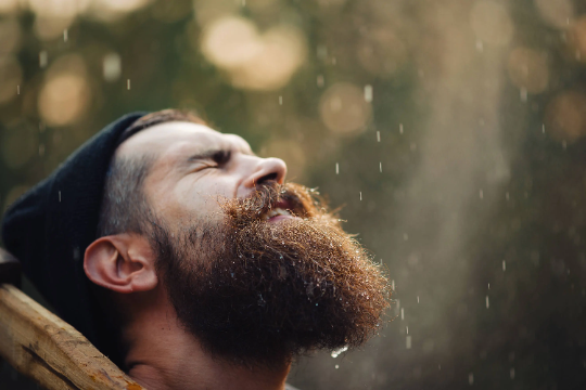 Beard Oil - IPA - Made with Beeswax, Propolis and Lanolin