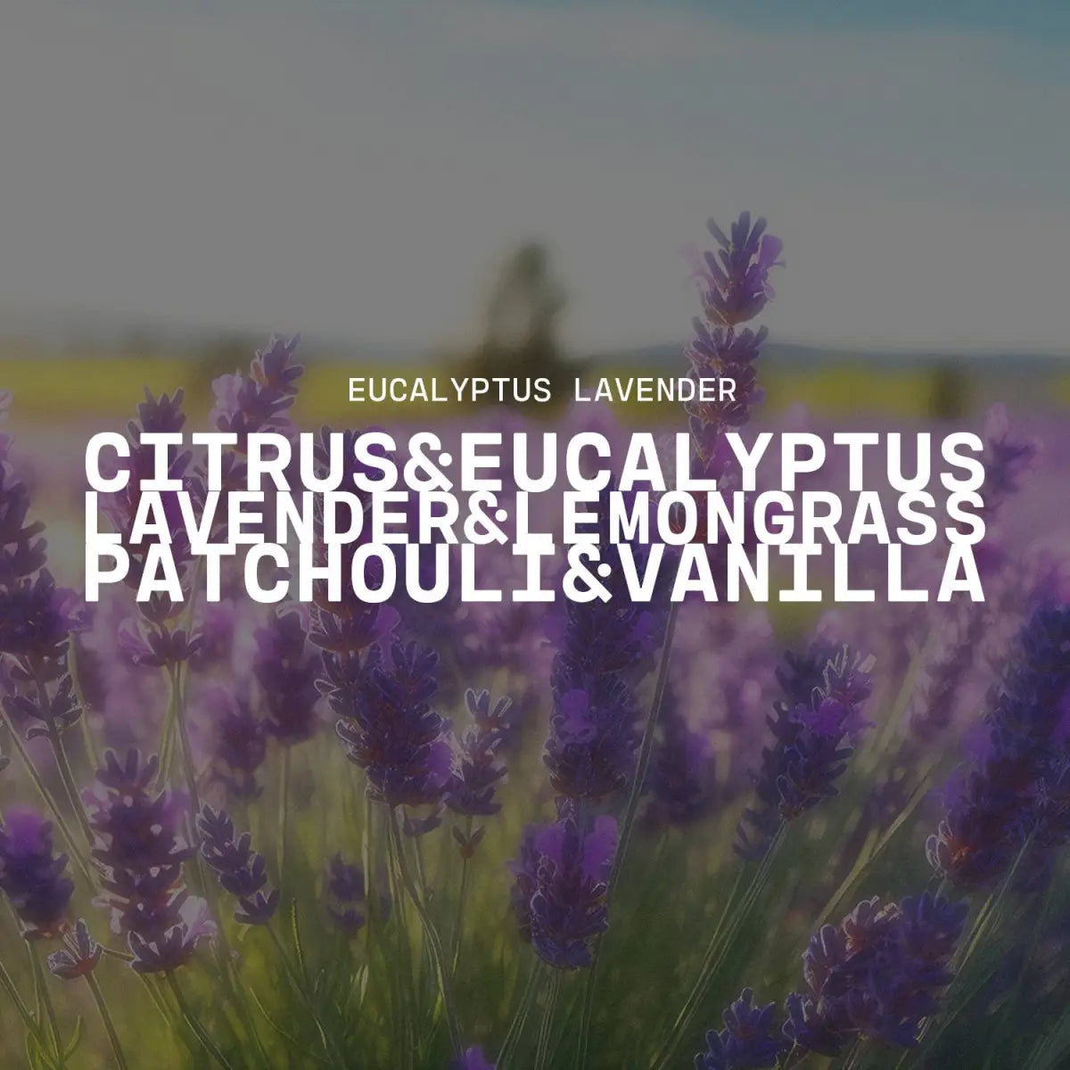 14 oz Milkbottle Candle: Eucalyptus Lavender - Milkhouse Candle Company