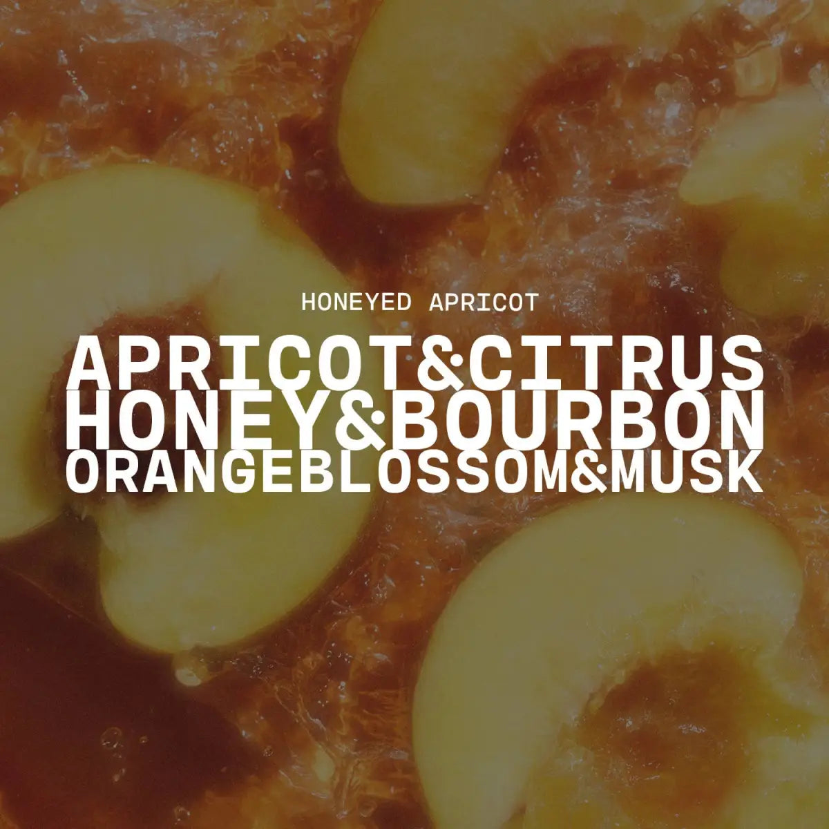 14 oz Milkbottle Candle: Honeyed Apricot - Milkhouse Candle Company