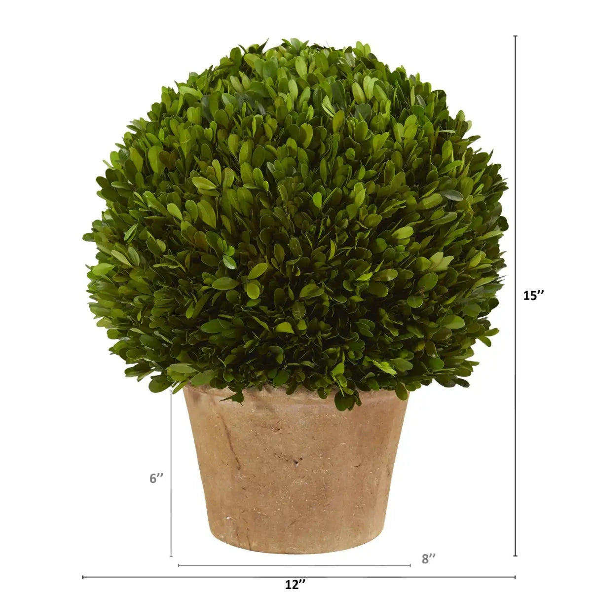 15” Boxwood Ball Preserved Plant in Planter - Nearly Natural