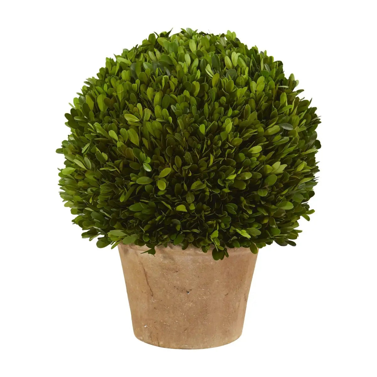 15” Boxwood Ball Preserved Plant in Planter - Nearly Natural