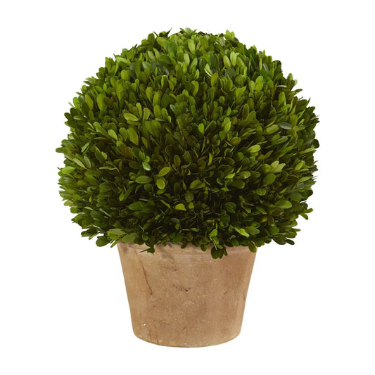 15” Boxwood Ball Preserved Plant in Planter - Nearly Natural