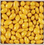 Yellow Sunny Seeds