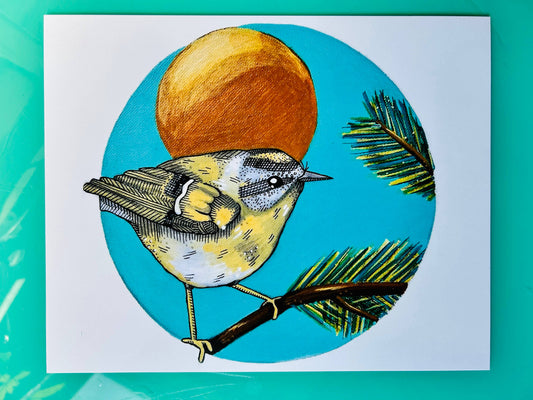 Kinglet Art Print