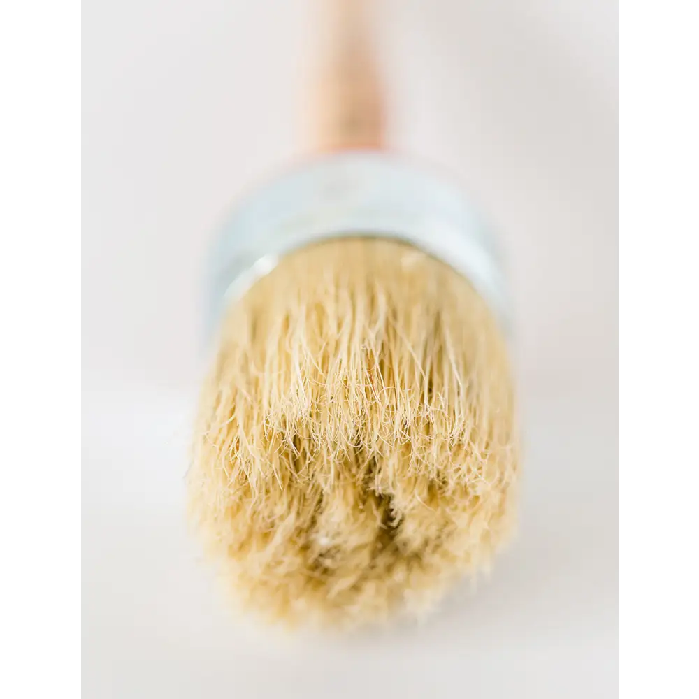 2.0″ Round Hog Hair Paint Brush - Amy Howard At Home