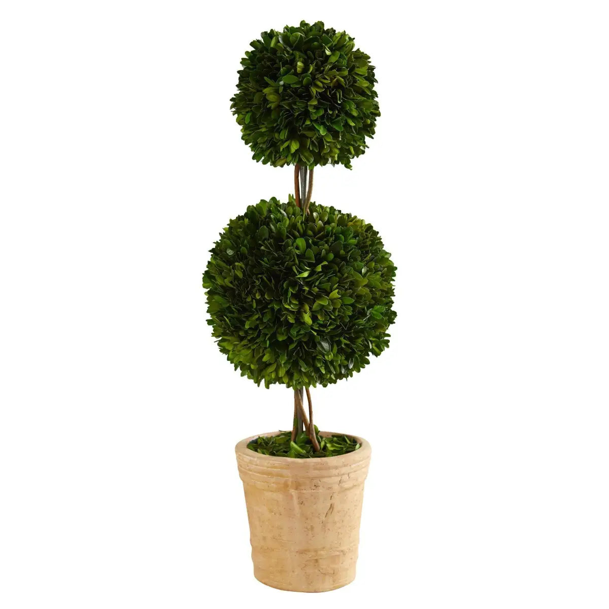 2.5’ Preserved Boxwood Double Ball Topiary Tree in Decorative Planter - Nearly Natural