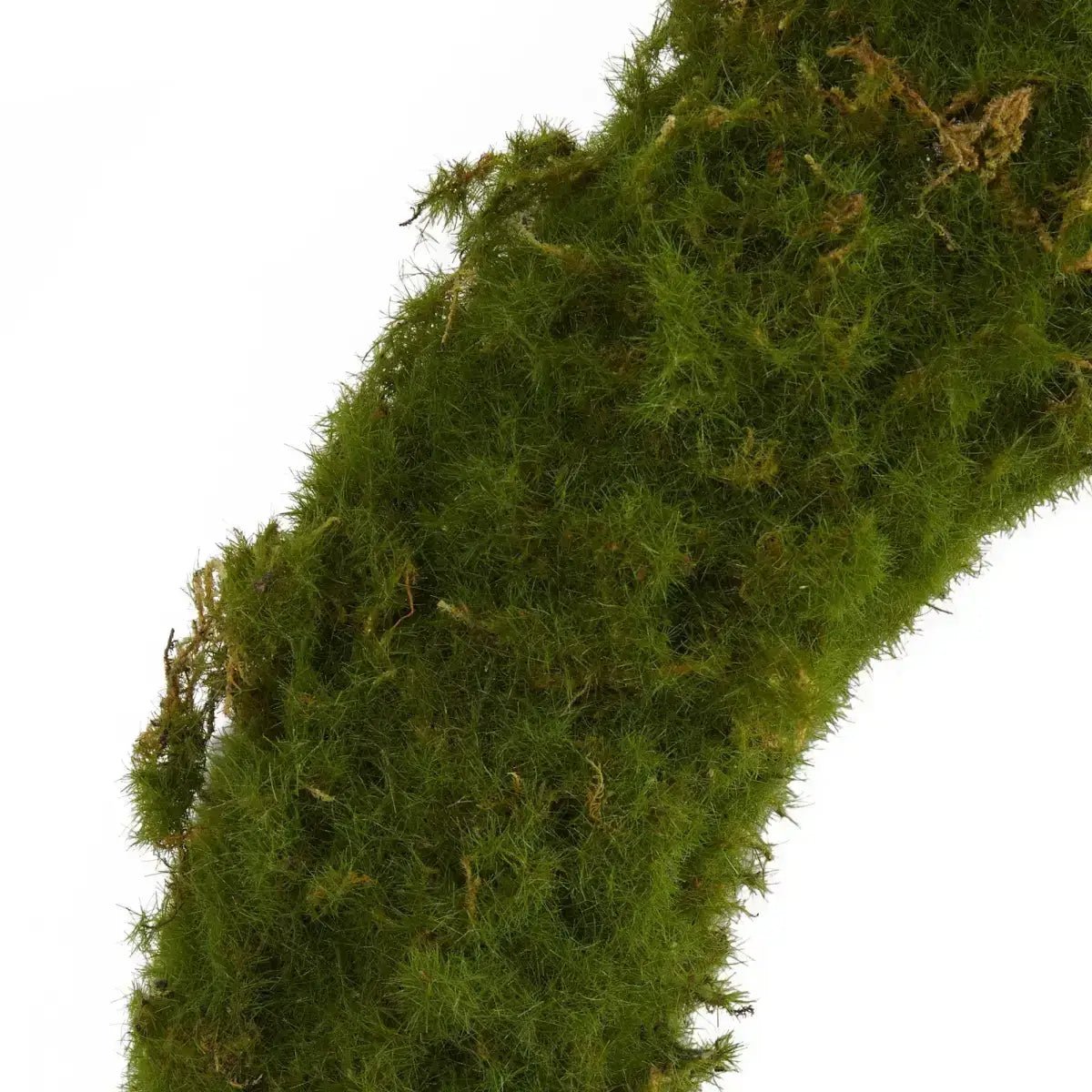 20” Moss Artificial Wreath - Nearly Natural