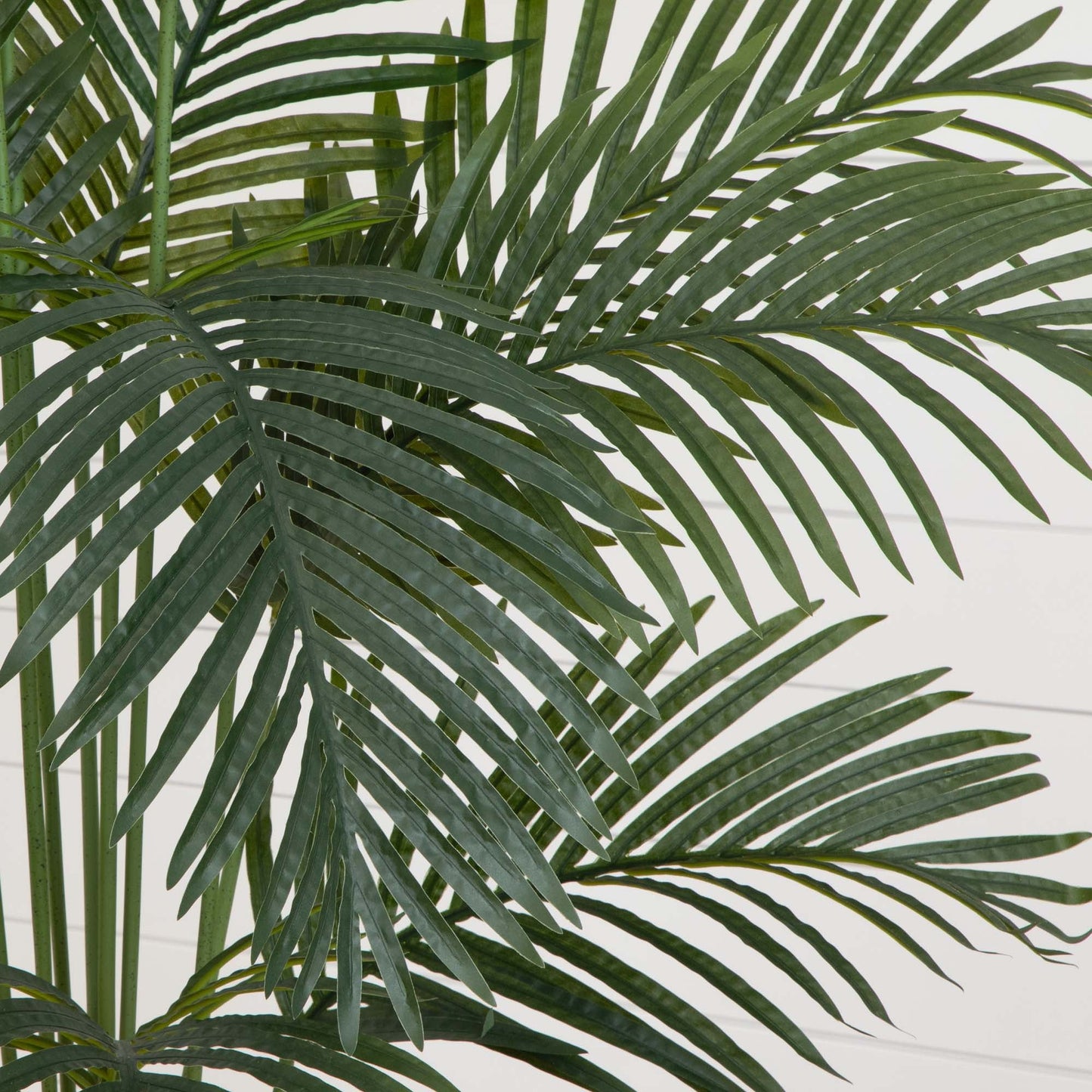 Palmier artificiel Paradise de 5,5 pi dans une jardinière noire