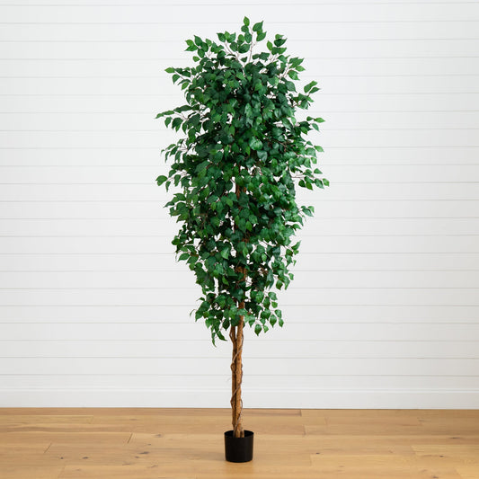 Árbol ficus de 8 pies con 1512 hojas