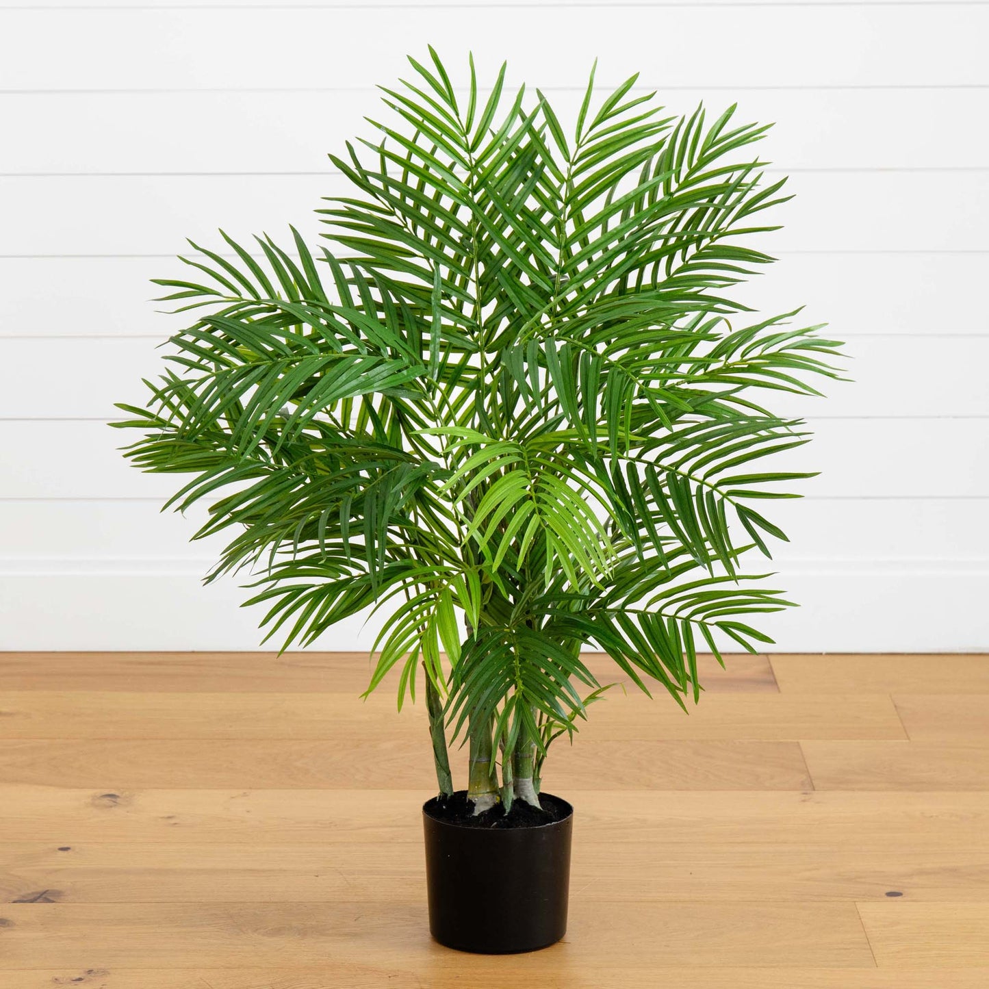 Palmier Areca en soie de 3 pieds