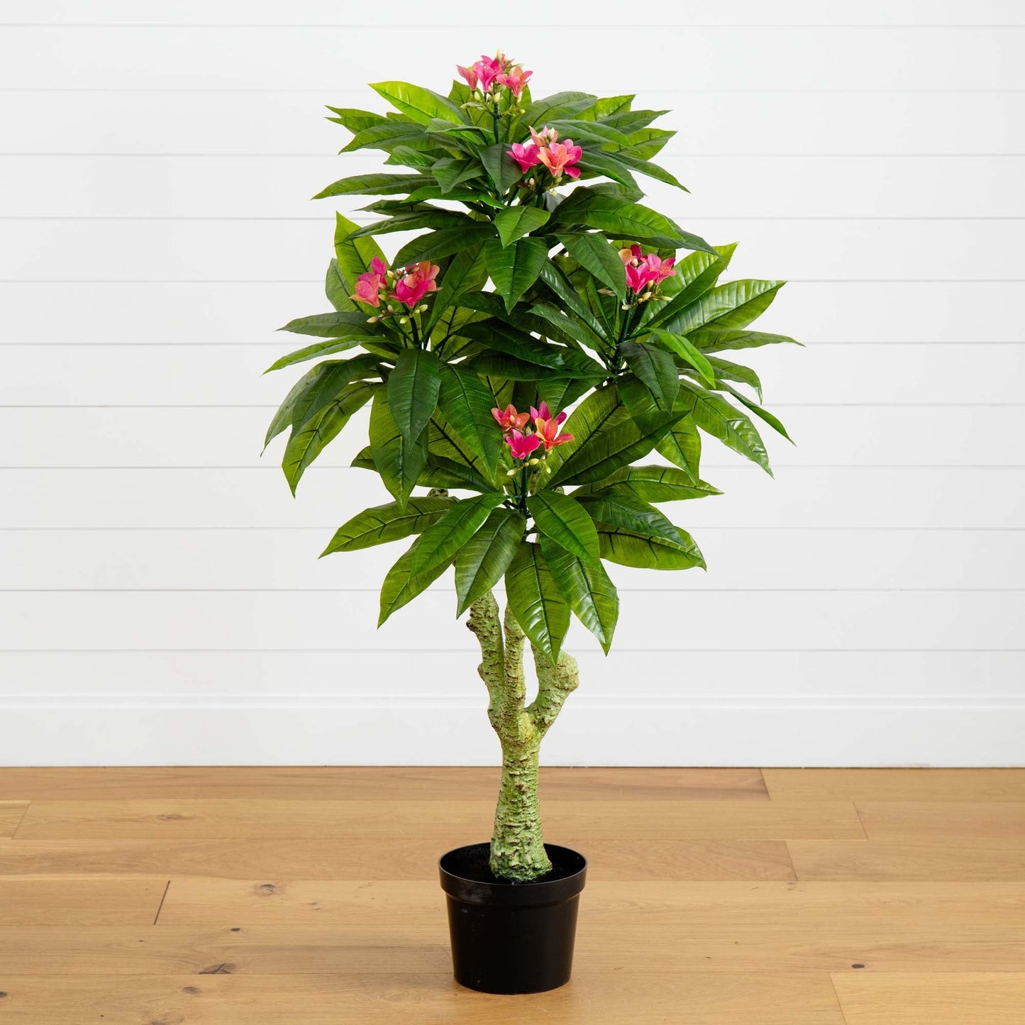 Arbre Plumeria de 5 pi résistant aux UV (intérieur/extérieur)