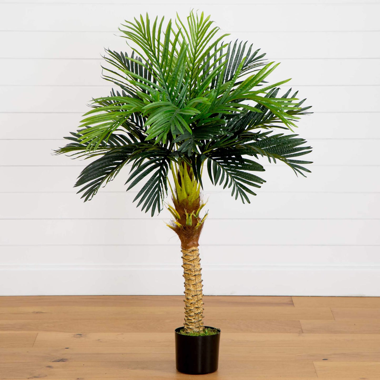 Palmera artificial Robellini de 58”