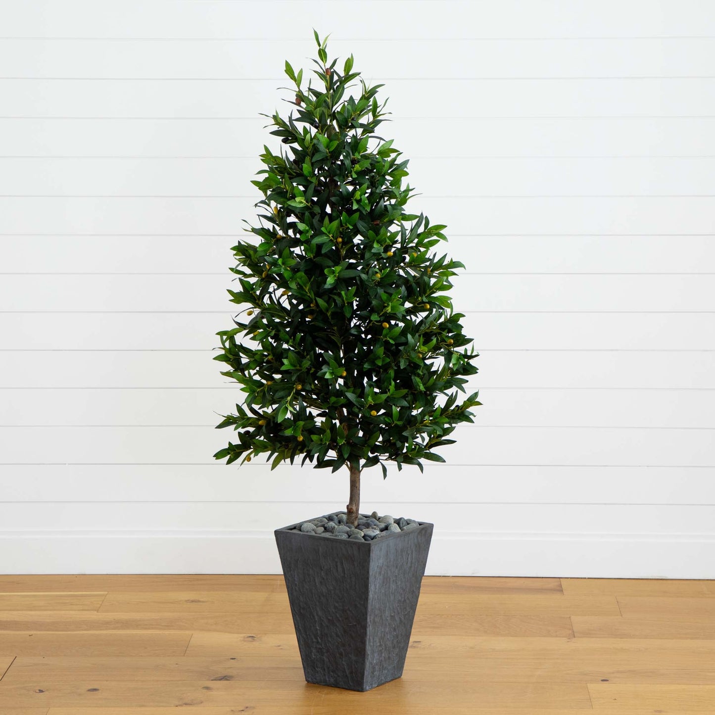 67” Olive Cone Topiary Artificial Tree in Slate Planter (Indoor/Outdoor)