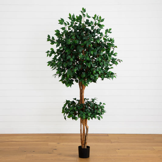 6' Double Ball Ficus Silk Tree