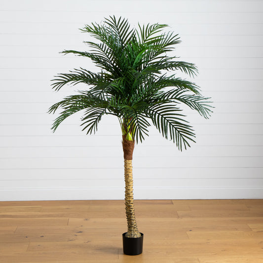 6' Robellini Palm Artificial Tree