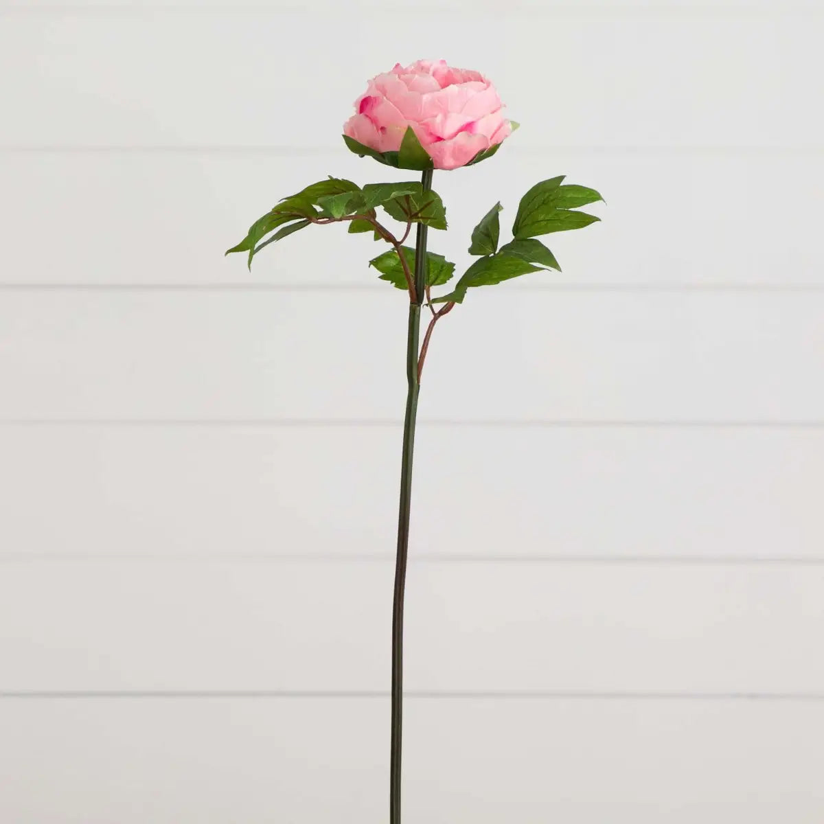 20’’Artificial Peony Flower Stems - Set of 3 - Nearly Natural