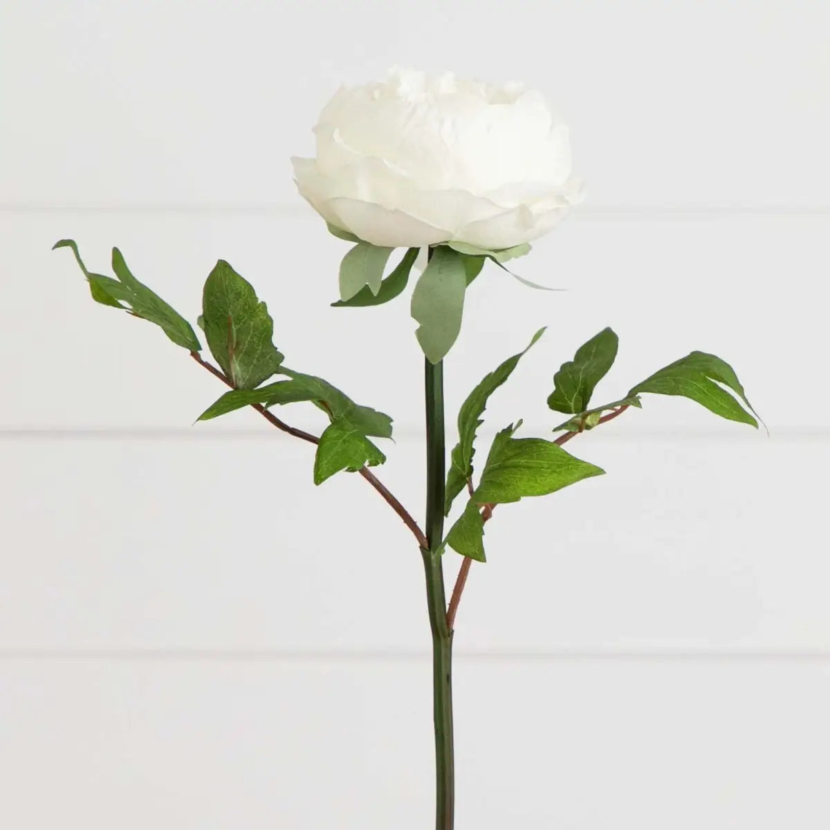 20’’Artificial Peony Flower Stems - Set of 3 - White - Nearly Natural