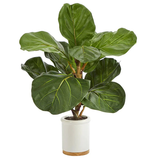 21” Fiddle Leaf Artificial Tree in White Ceramic Planter - Nearly Natural