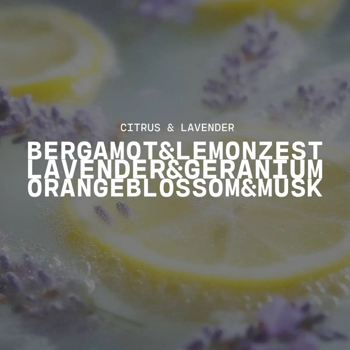 22 oz Butter Jar Candle: Citrus & Lavender - Milkhouse Candle Company