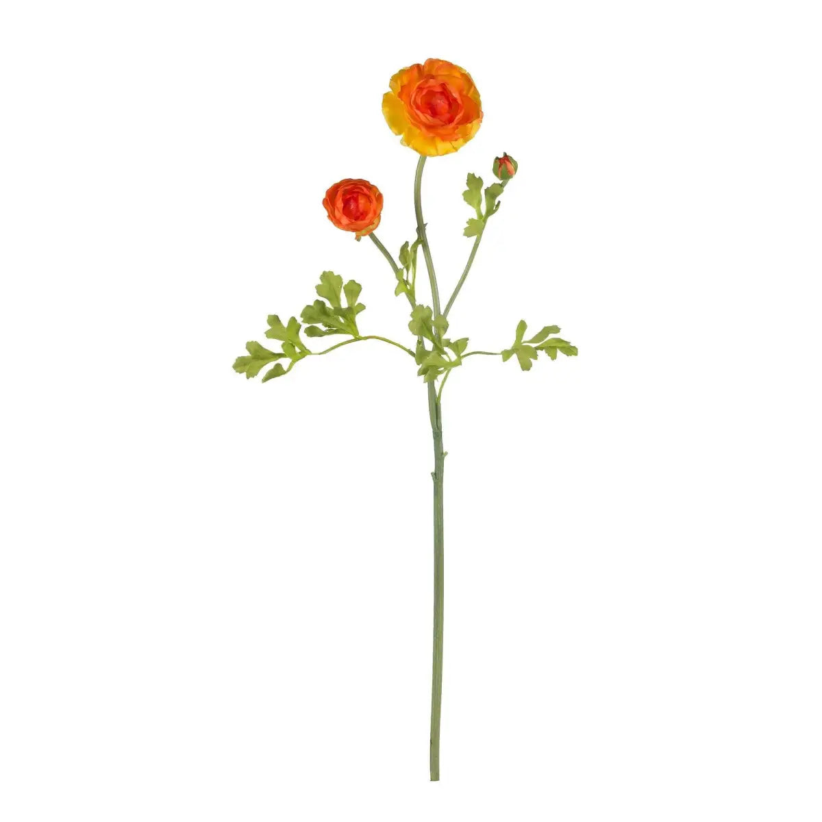 23’’ Ranunculus Stem (Set of 12)’ - Nearly Natural