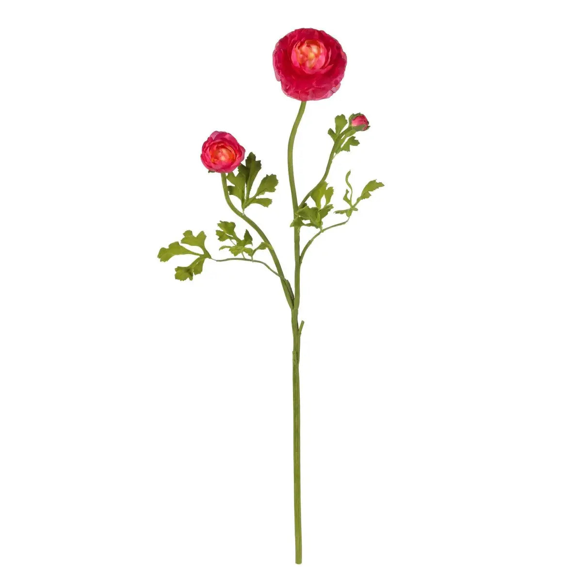23’’ Ranunculus Stem (Set of 12)’ - Beauty - Nearly Natural